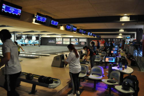 DSC 0090 (1) (1)