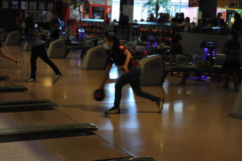 DSC 0117 (1) (1) (1)